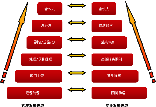 獵頭公司員工發(fā)展通道